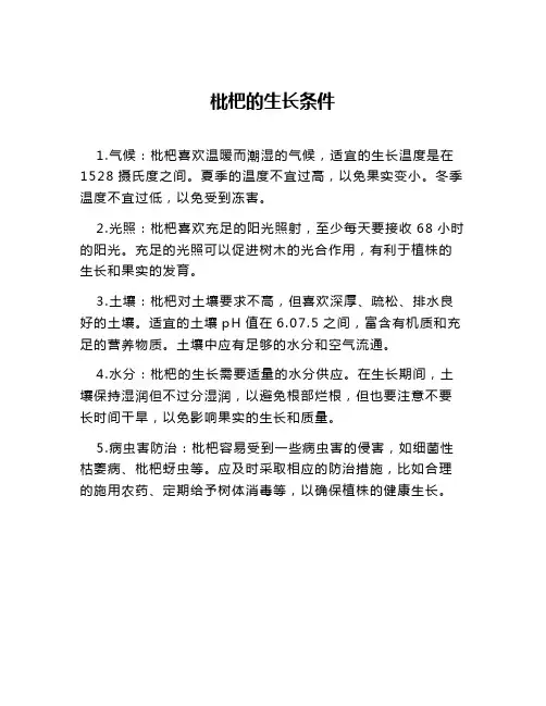 枇杷的生长条件