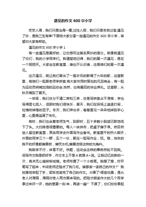 遇见的作文600字小学