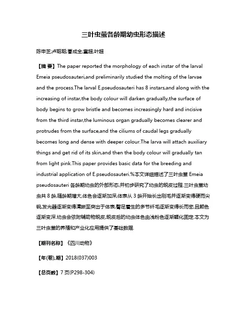 三叶虫萤各龄期幼虫形态描述