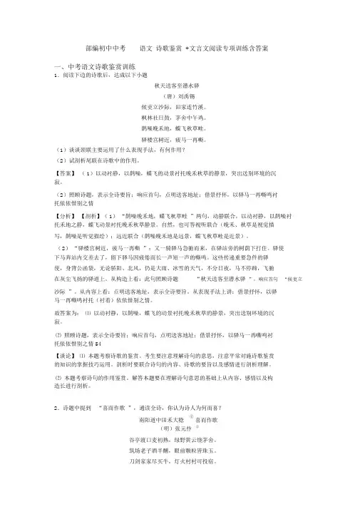 部编初中中考语文诗歌鉴赏+文言文阅读专项训练含答案(20210520231607)