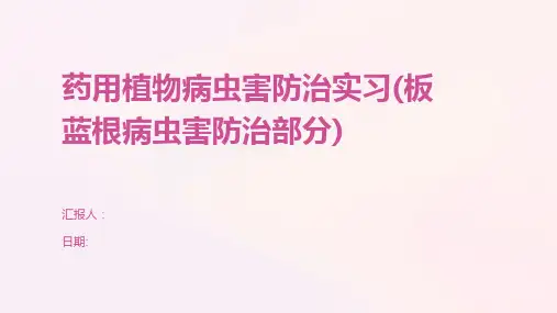 药用植物病虫害防治实习(板蓝根病虫害防治部分)