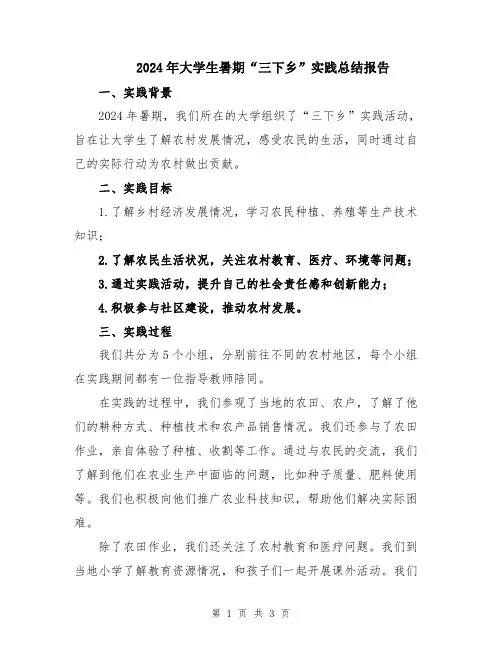 2024年大学生暑期“三下乡”实践总结报告
