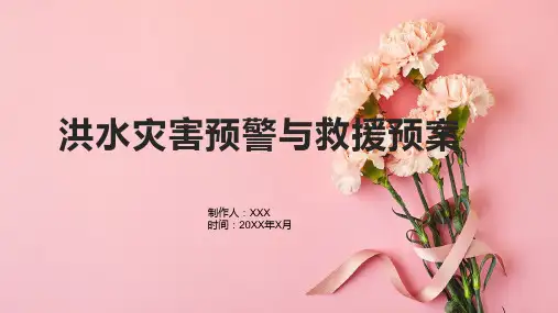 洪水灾害预警与救援预案
