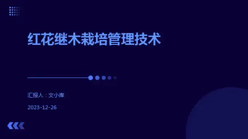 红花继木栽培管理技术