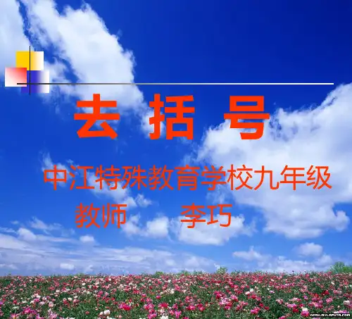 去括号与添括号课件