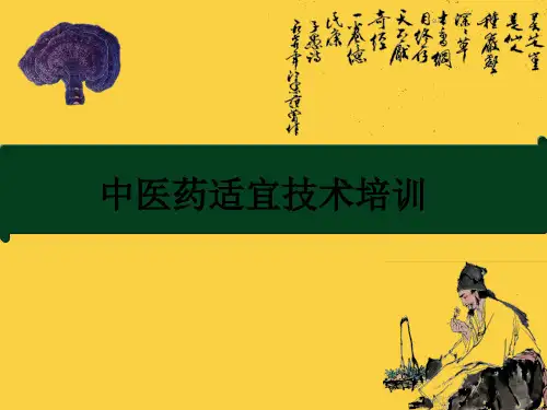 中医药适宜技术培训(四)