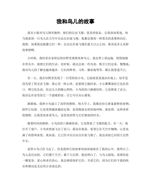 我和鸟儿的故事