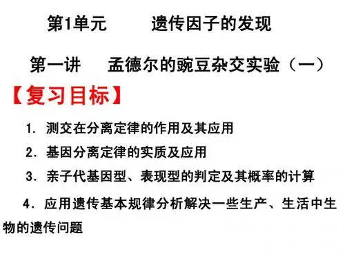 第1单元     第一讲  孟德尔的豌豆杂交实验(一)