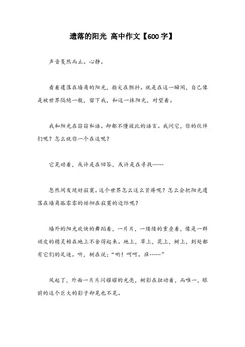 遗落的阳光 高中作文【600字】