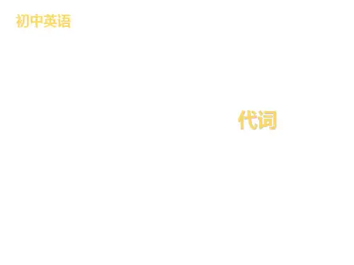 2020届中考英语专题复习课件：代词(共44张PPT)