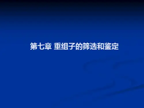 基因工程第七章 重组子的筛选和鉴定