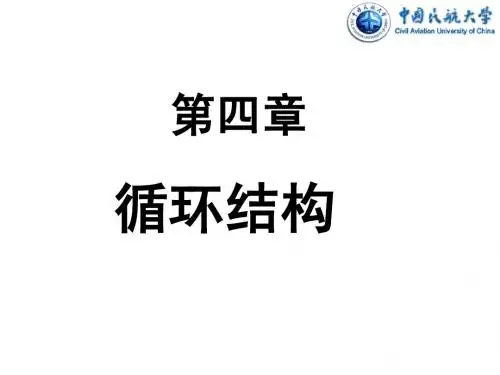 计算机编程CHP4_循环结构