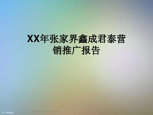 XX年张家界鑫成君泰营销推广报告