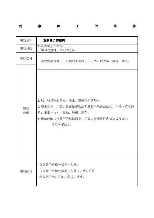 观察种子的结构实验报告