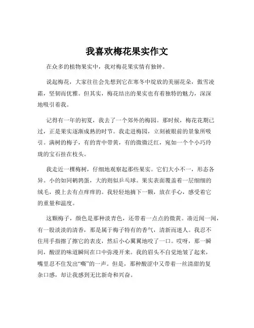 我喜欢梅花果实作文