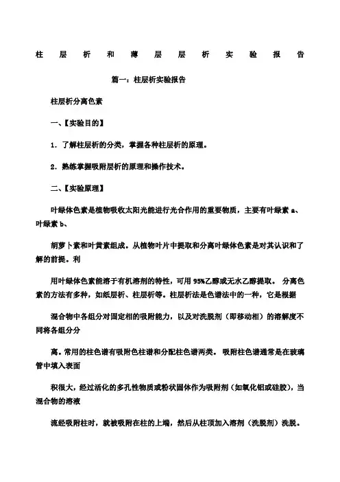 柱层析和薄层层析实验报告 