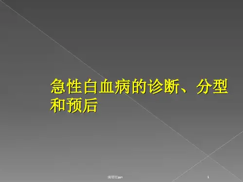 急性白血病的诊断分型PPT课件