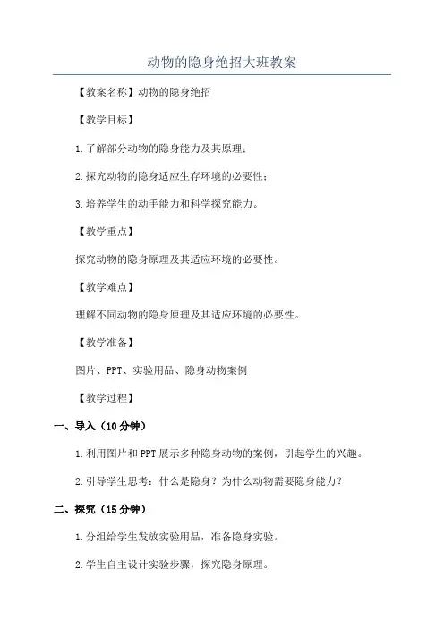动物的隐身绝招大班教案