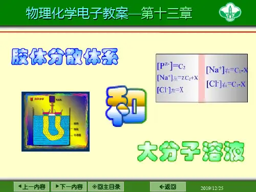 胶体与大分子溶液-PPT精选