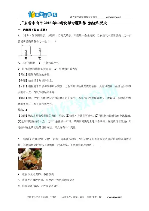 广东省中山市2016年中考化学专题训练 燃烧和灭火(解析版)