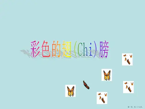 六年级语文上册《彩色的翅膀》ppt课件