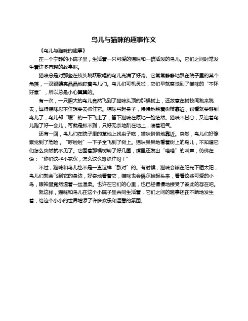 鸟儿与猫咪的趣事作文