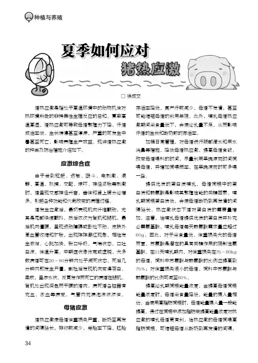 夏季如何应对猪热应激