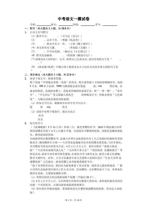 江苏省盐城市 中考语文一模试卷(含答案)