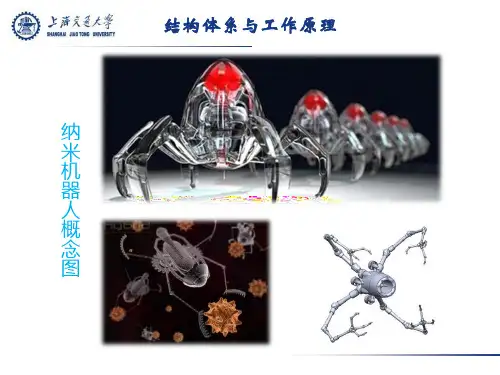 纳米机器人结构体系与工作原理