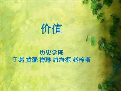 价值、价值观ppt课件