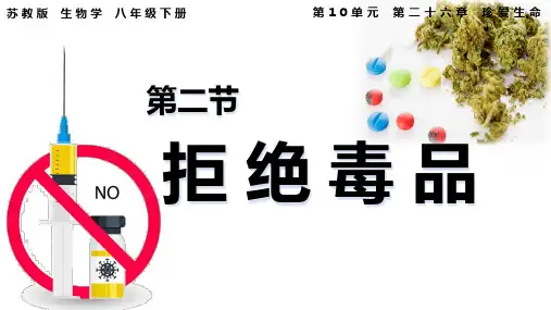 第二节拒绝毒品课件2023-2024学年苏教版生物八年级下册