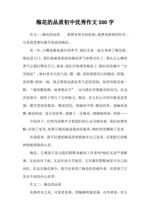 梅花的品质初中优秀作文500字