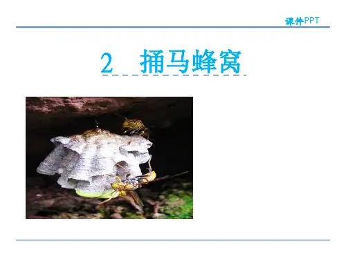 (完整)五级下册语文课件捅马蜂窝冀教版精品PPT资料精品PPT资料