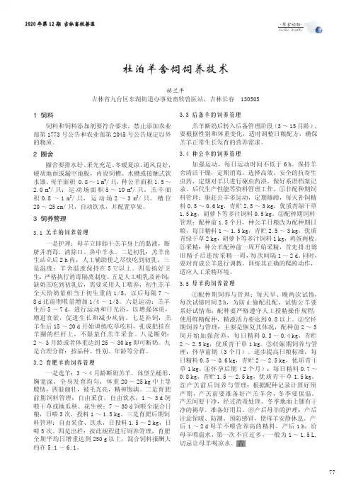 杜泊羊舍饲饲养技术