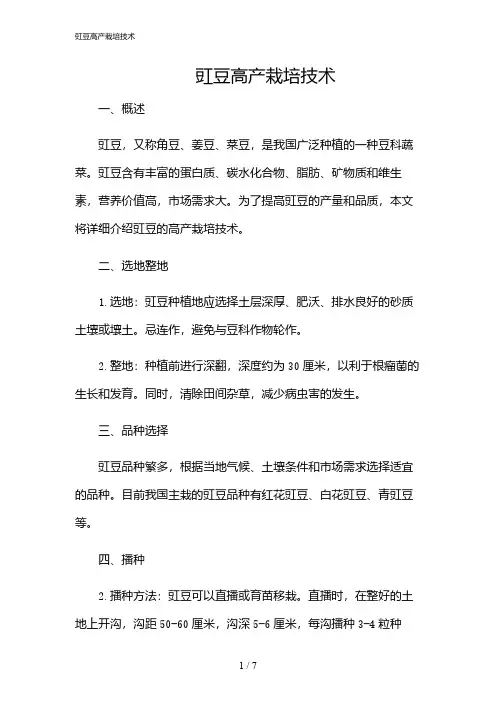 2024年豇豆高产栽培技术
