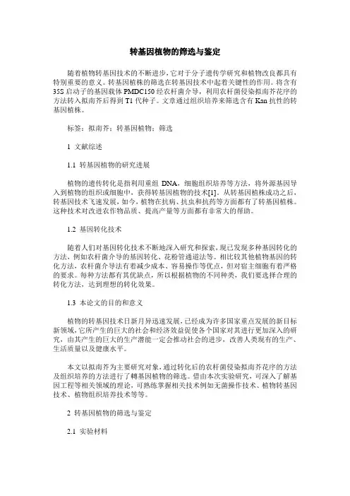 转基因植物的筛选与鉴定