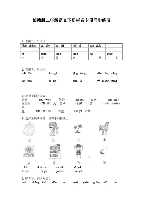 部编版二年级语文下册拼音专项同步练习