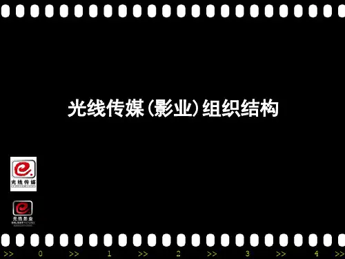 光线传媒(影业)组织结构