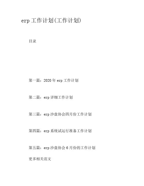 erp工作计划(工作计划)