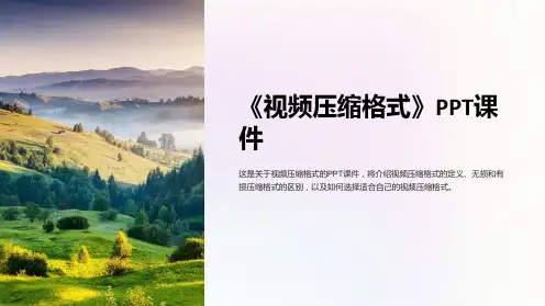 《视频压缩格式》课件
