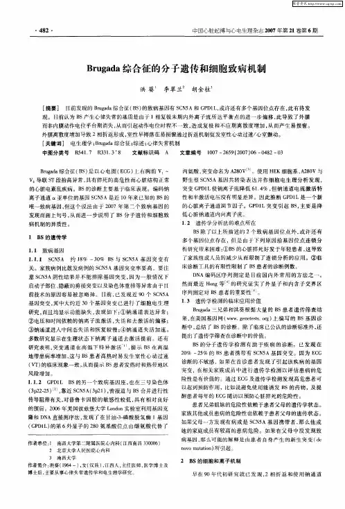 Brugada综合征的分子遗传和细胞致病机制