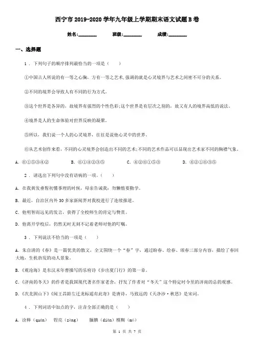 西宁市2019-2020学年九年级上学期期末语文试题B卷