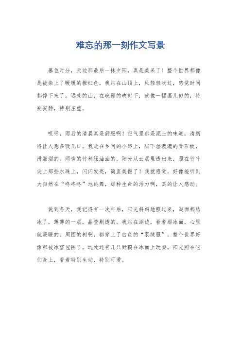 难忘的那一刻作文写景