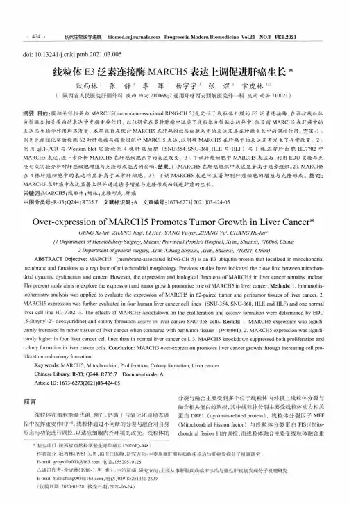 线粒体E3泛素连接酶MARCH5表达上调促进肝癌生长