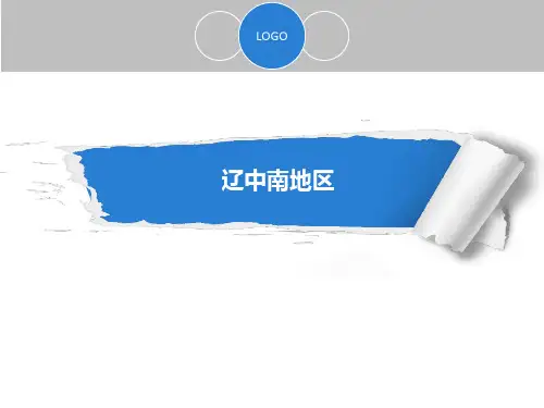 辽中南地区