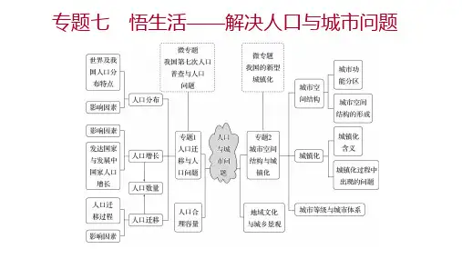 高考地理二轮复习课件 人口与城市问题