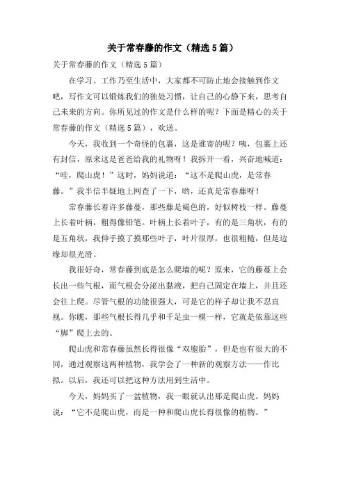 关于常春藤的作文(5篇)