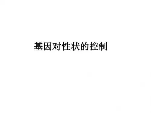 人教版高中生物必修二课件 4.2 基因对性状的控制(17张ppt)(共17张PPT)