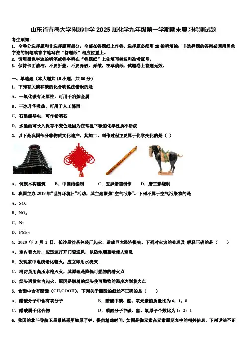 山东省青岛大学附属中学2025届化学九年级第一学期期末复习检测试题含解析