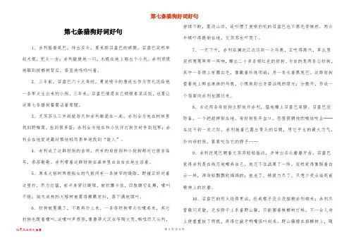 第七条猎狗好词好句